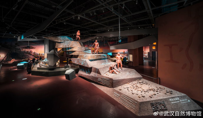 乒乓球运动员钱天一南京公园vlog引热议：硬核晨